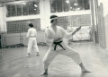 Z archivu Karate Sokol