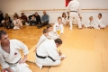 Mikulášské klání v kata a kumite děti 2015